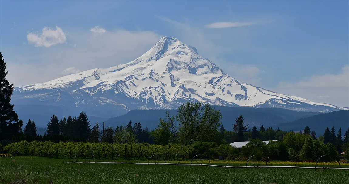 Flexible Financing - Portland Dentist